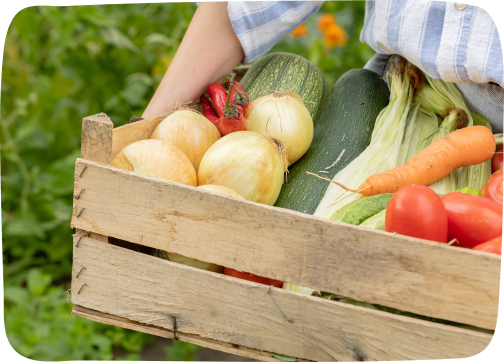 ไม่เติมเกลือ<br>และวัตถุกันเสีย